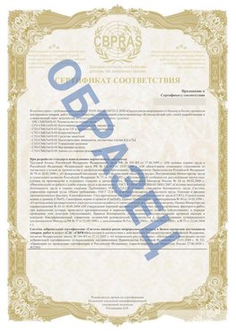 Образец Приложение к СТО 01.064.00220722.2-2020 Амурск Сертификат СТО 01.064.00220722.2-2020 